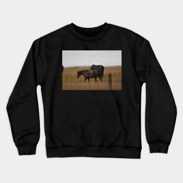 Dark Brown Wild Horse Crewneck Sweatshirt by MarieDarcy